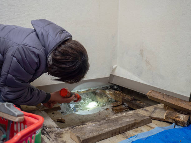Best Industrial Mold Remediation  in Centuria, WI