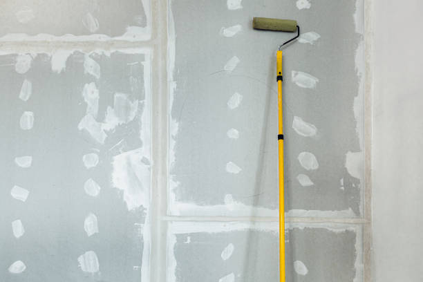 Best Emergency Mold Remediation  in Centuria, WI