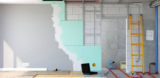 Best Real Estate Mold Inspection  in Centuria, WI
