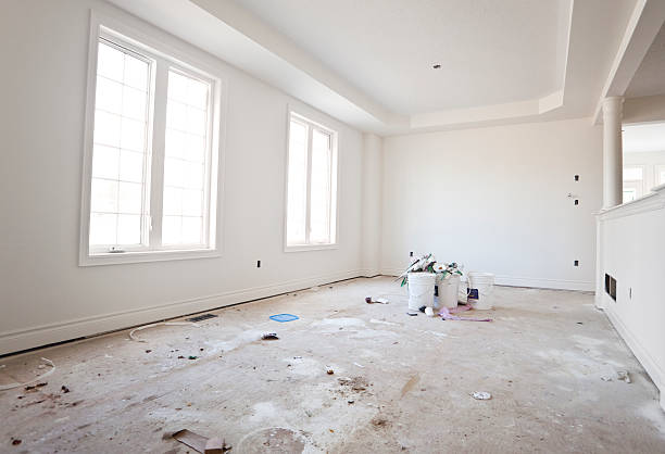 Best Black Mold Removal  in Centuria, WI