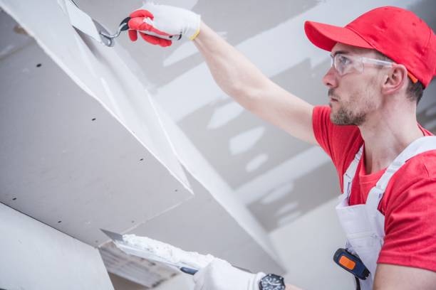 Best Water Damage & Mold Remediation  in Centuria, WI